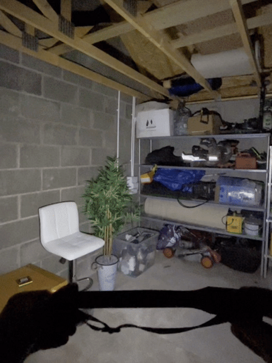 You need ArkenLite™